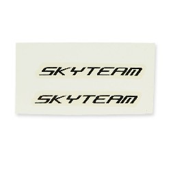 SkyTeam-Aufkleber (wei-schwarz)