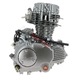 Motor CGP125 125ccm fr Skyteam ACE (ST156FMI)